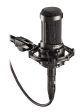 Audio Technica AT2035 Cardioid Condenser Studio Microphone Mic + Blue XLR Cable Online now