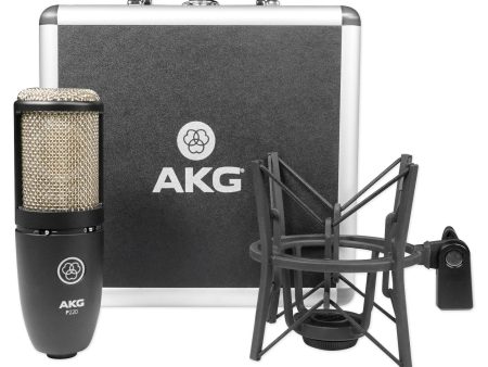 AKG P220 Studio Condenser Microphone Recording Mic+Shockmount+Carry Case Online Sale